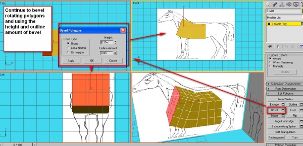 Creation of A colt: Step 5